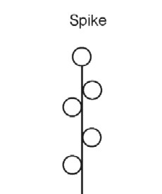 Spike